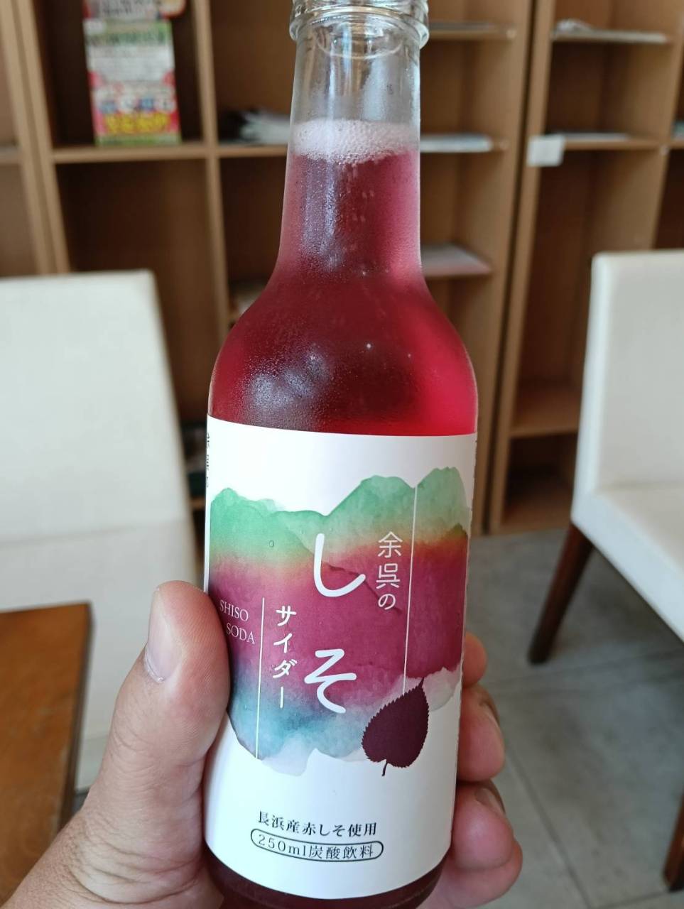 観光・キャンプに行って来ました