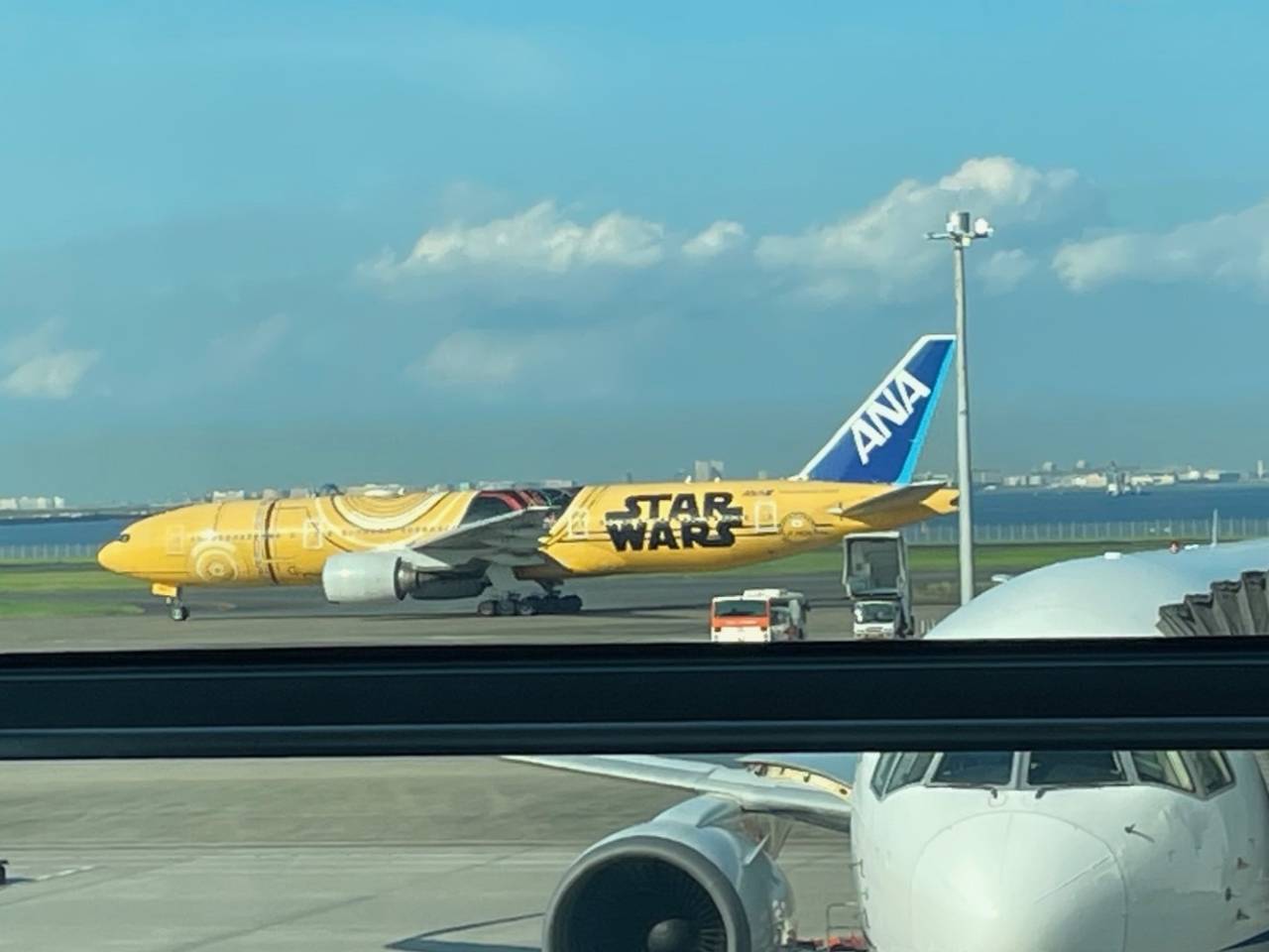 幸せの黄色い・・・⭐