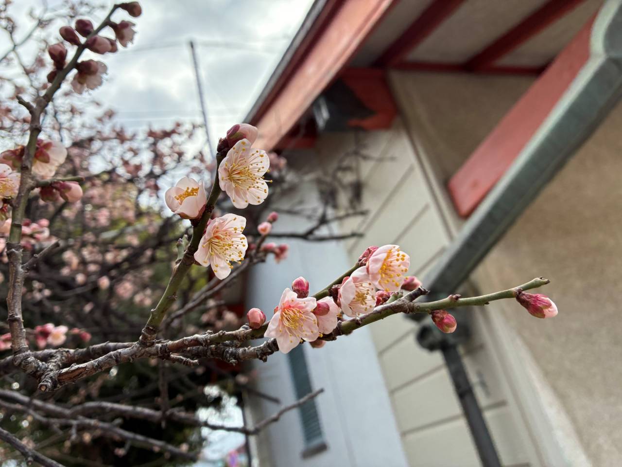 春の訪れを感じて