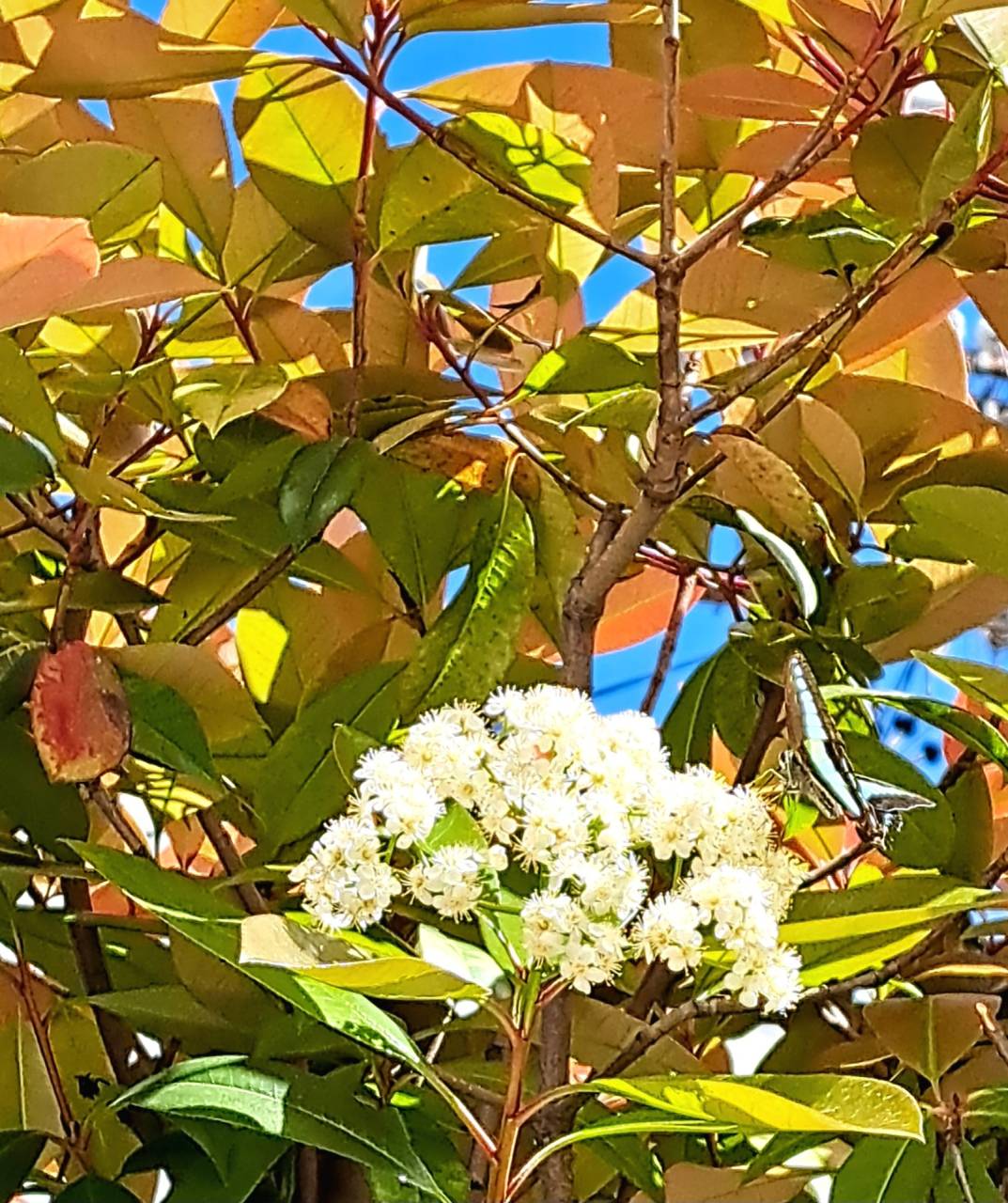 春、運を動かしてみませんか？「全身連動」で心も体もリフレッシュ！